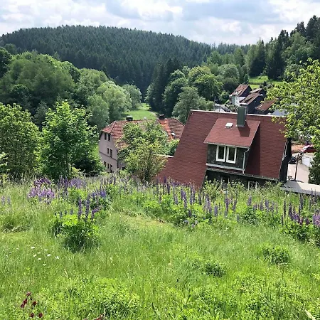 Ferienhaus Schwalbennest Holiday home