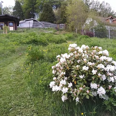 Ferienhaus Schwalbennest Holiday home
