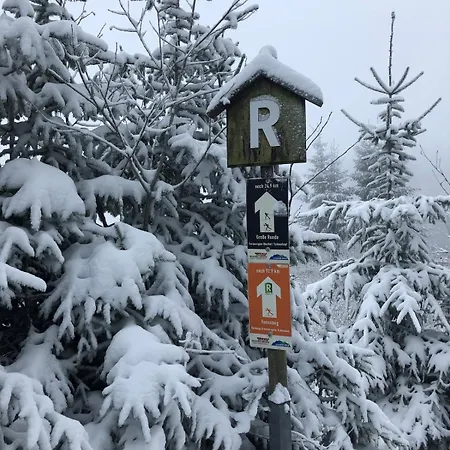 Dom wakacyjny Schwalbennest *