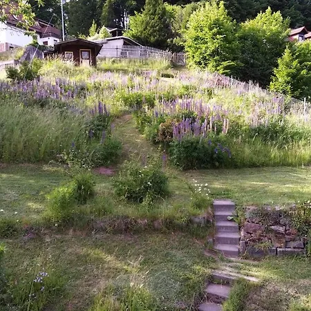 Ferienhaus Schwalbennest Holiday home Suhl