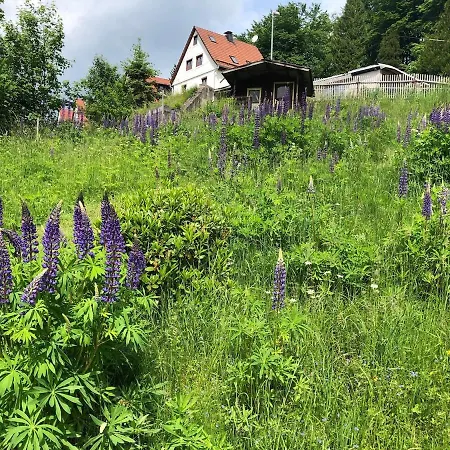Holiday home Ferienhaus Schwalbennest