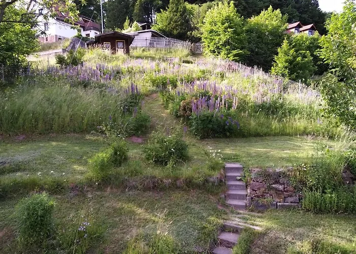 Schwalbennest Nyaraló Suhl