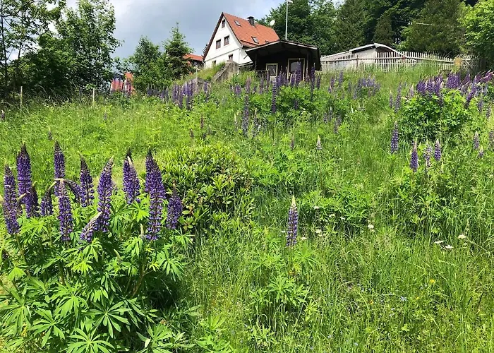 Nyaraló Schwalbennest